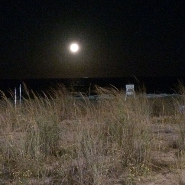 Rehoboth Beach Canopy Rules