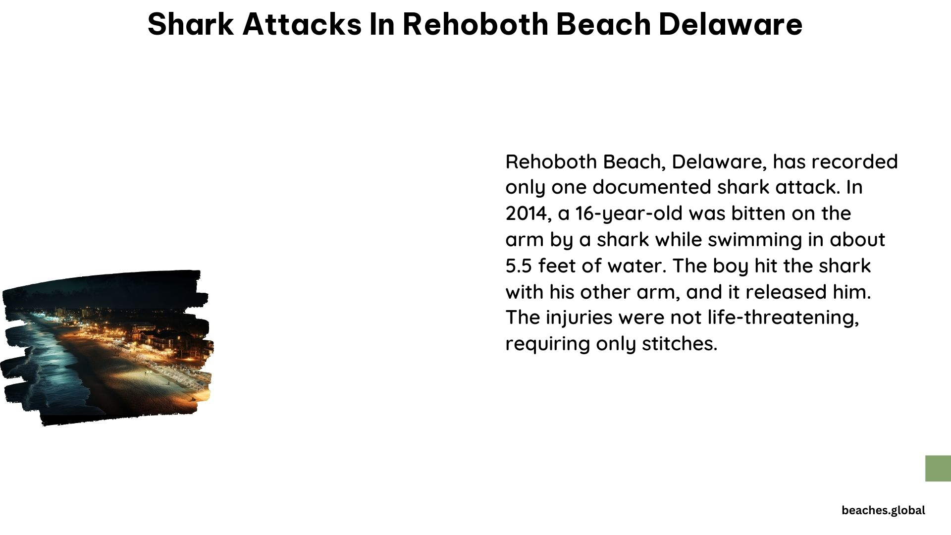 Shark Attacks in Rehoboth Beach Delaware