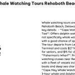 Whale Watching Tours Rehoboth Beach