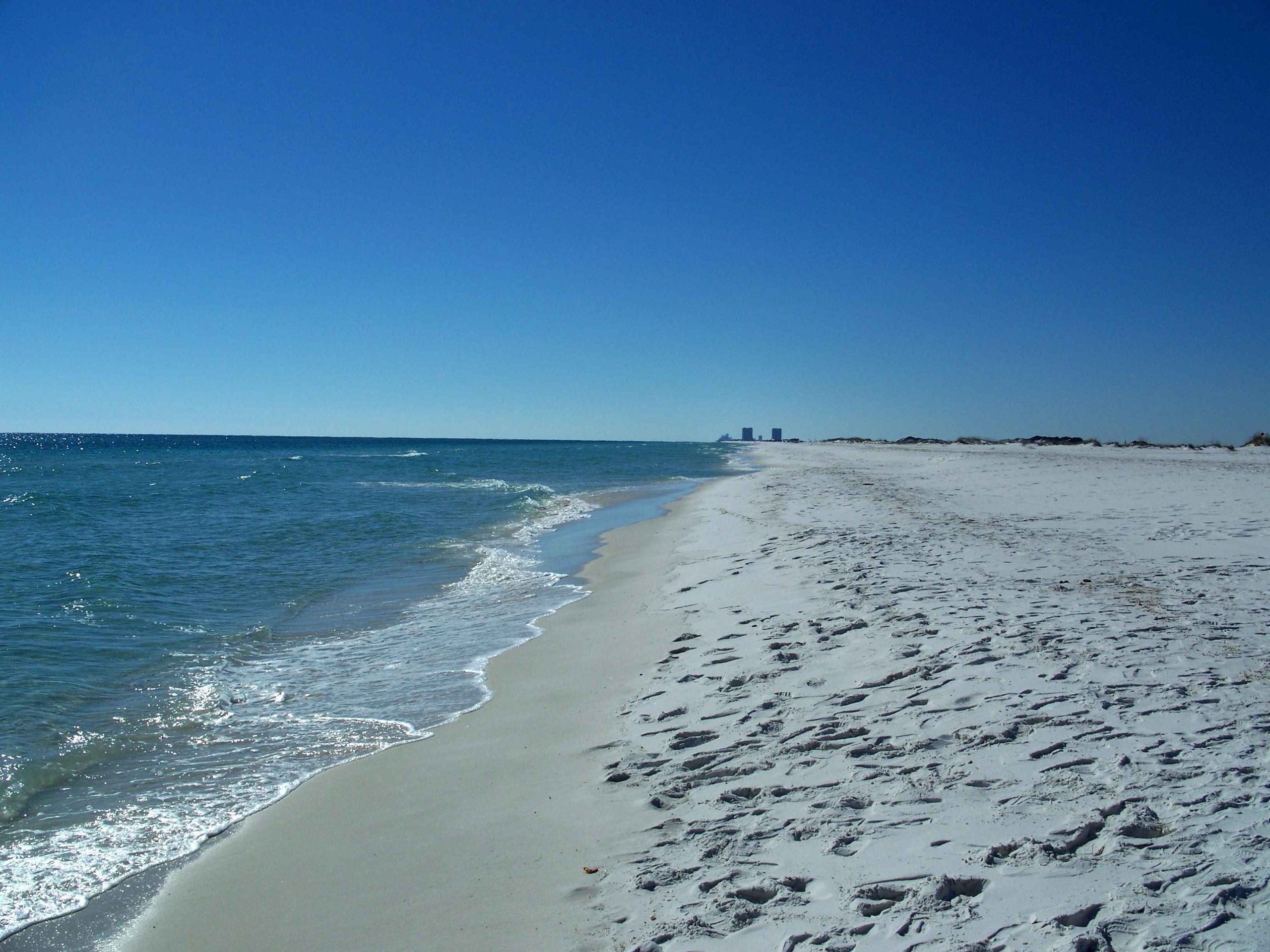 lion park santa rosa beach